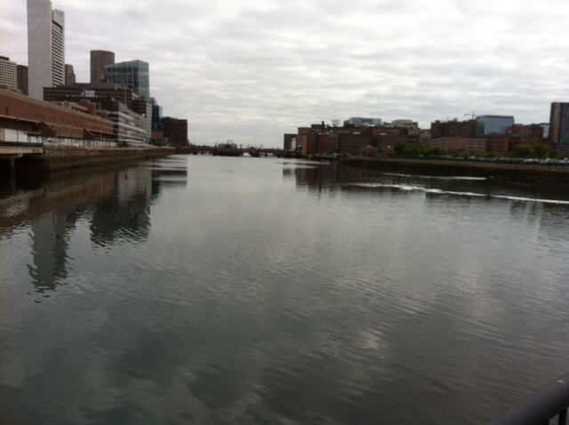 The Nature of Fort Point Channel