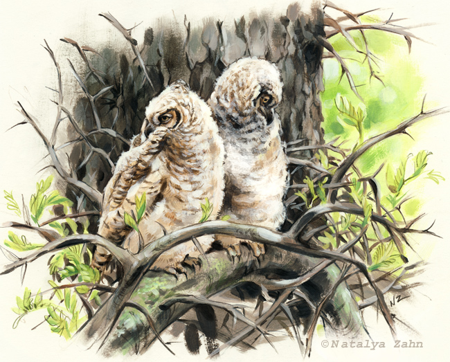 Owl Pellets Can Save the World