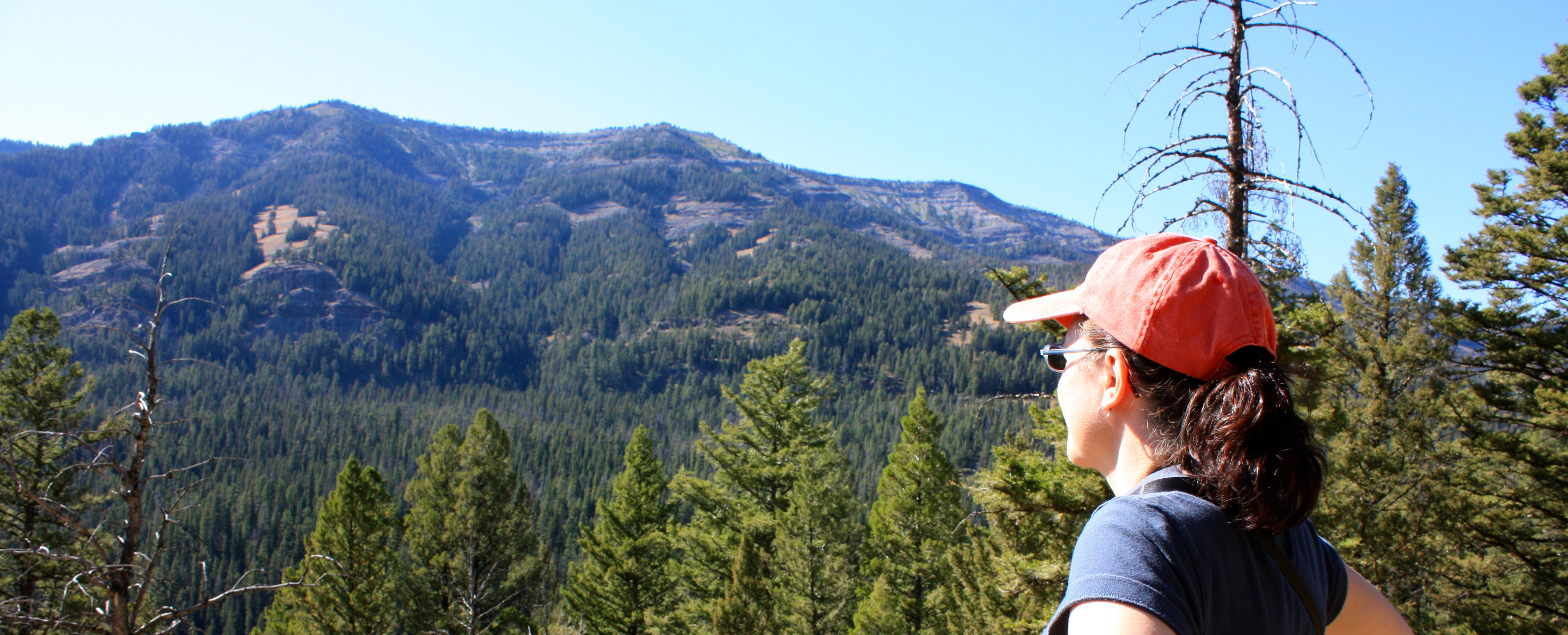 Pilgrimage to Mount Hornaday